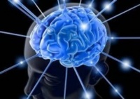 Trénink paměti s Miluš z knihy Nové zábavné úkoly pro seniory