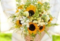 Povídání o rostlinách s Renatou